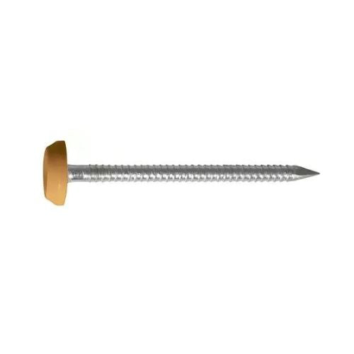Poly Top Pins 25mm - Oak